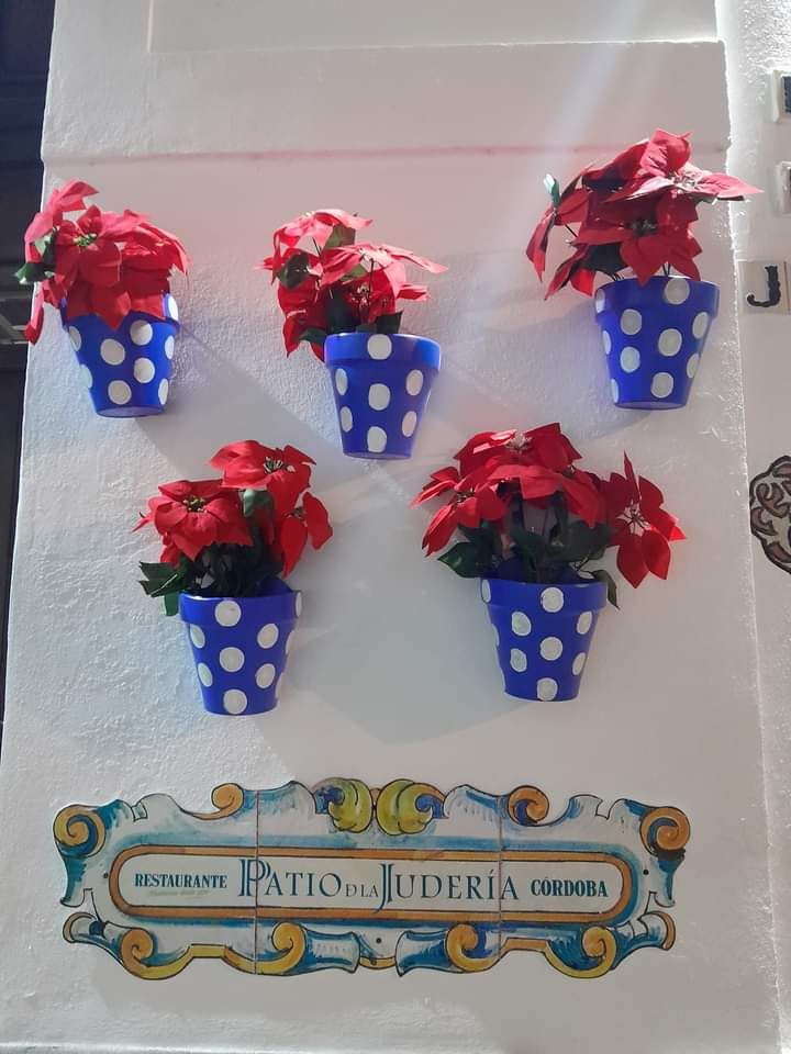 fb_img_17114642339296833296721000806170